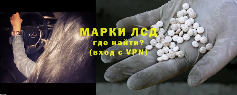 ЛСД экстази ecstasy  Новоузенск 